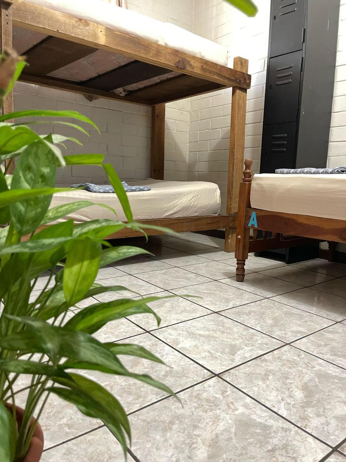 Pool House Hostel サンタ・アナ エクステリア 写真