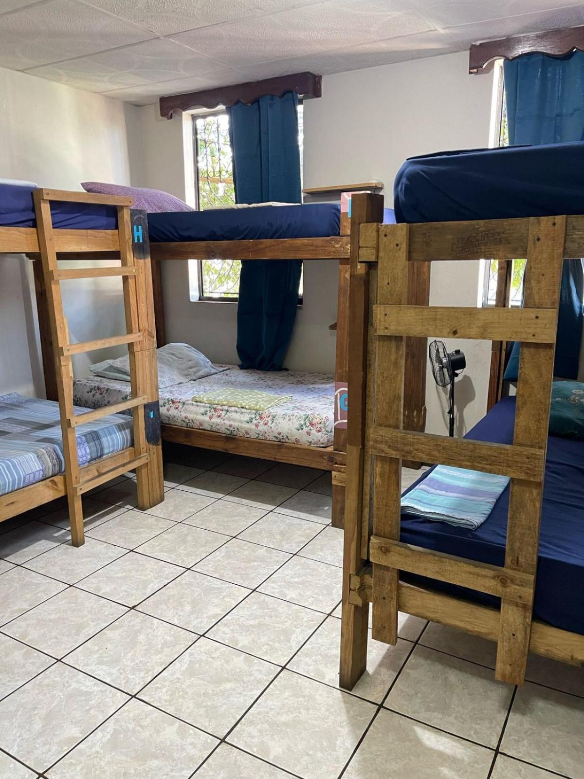 Pool House Hostel サンタ・アナ エクステリア 写真